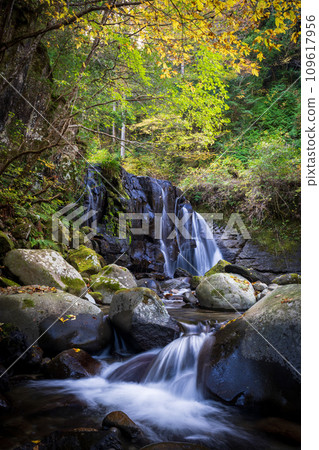 river flow and fallen leaves river flow and fallen leaves 109617956
