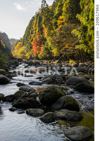 river flow and fallen leaves river flow and fallen leaves 109617968