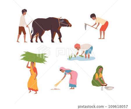 Indian rural farmers, traditional agricultural work ploughing field with bulls, planting rice, woman cooking vector set Indian rural farmers, traditional agricultural work ploughing field with bulls, planting rice, woman cooking vector set 109618057