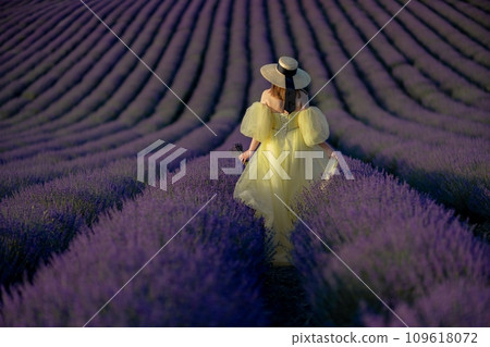 Lavender field happy woman in yellow dress in lavender field summer time at sunset 109618072