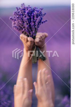 Lavender field woman's legs emerging from the bushes, holding a bouquet of fragrant lavender. Purple lavender bushes in bloom, aromatherapy. Lavender field woman's legs emerging from the bushes, holding a bouquet of fragrant lavender. Purple lavender bushes in bloom, aromatherapy. 109618080