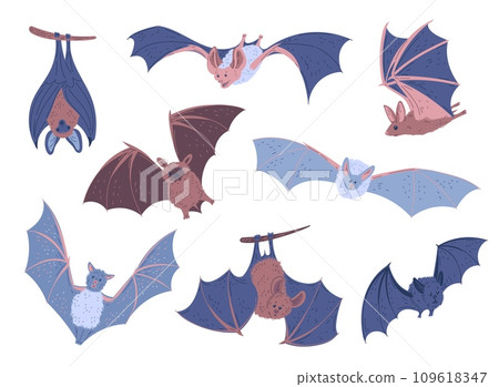 Set of hand drawn bats, cartoon flat vector illustration isolated on white background. Set of hand drawn bats, cartoon flat vector illustration isolated on white background. 109618347