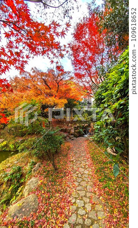 秋天大阪加賀屋新電會所和加賀屋綠地的石路面和秋葉池塘 109618652