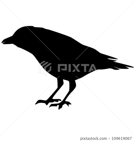 Crow silhouette isolated on white background. Clipart. Crow silhouette isolated on white background. Clipart. 109619067
