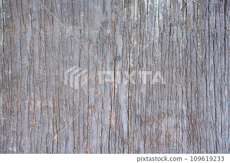 Wooden planks wall texture abstract for background Wooden planks wall texture abstract for background 109619233