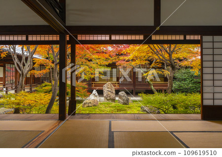京都東山的秋天,建仁寺,紫苑花園,秋葉覆蓋 京都東山的秋天,建仁寺,紫苑花園,秋葉覆蓋 109619510