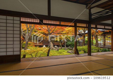 京都東山的秋天,建仁寺,紫苑花園,秋葉覆蓋 京都東山的秋天,建仁寺,紫苑花園,秋葉覆蓋 109619512