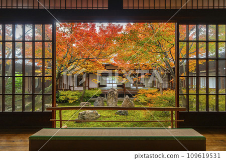 京都東山的秋天，建仁寺，紫苑花園，秋葉覆蓋 109619531