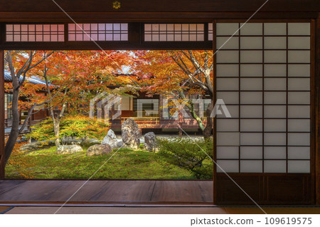 京都東山的秋天,建仁寺,紫苑花園,秋葉覆蓋 京都東山的秋天,建仁寺,紫苑花園,秋葉覆蓋 109619575