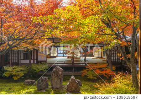 Autumn in Higashiyama, Kyoto, Kenninji Temple, Shion Garden covered in autumn leaves 109619597