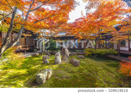 東山的秋天，建仁寺，紅葉覆蓋的紫苑花園 109619618