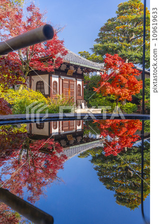 Autumn in Higashiyama, Kyoto, Kenninji Temple, autumn leaves and reflection of the ossuary 109619633