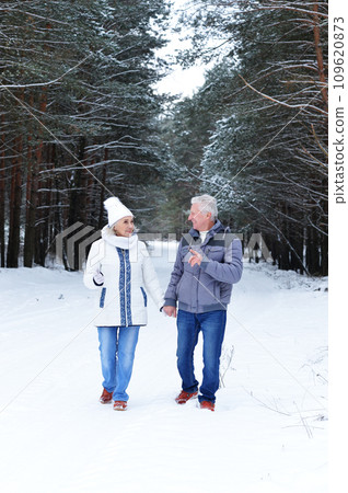 Happy senior couple at snowy winter park 109620873