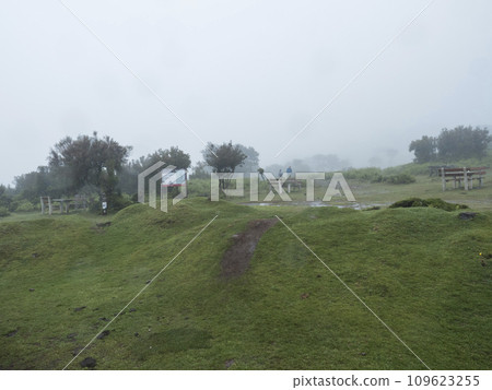 Fanal laurel forest tourist point in dense fog and rain. Picnic tables and benches and tourist people figures. Mysterious misty, creepy atmosphere. Madeira, Portugal Fanal laurel forest tourist point in dense fog and rain. Picnic tables and benches and tourist people figures. Mysterious misty, creepy atmosphere. Madeira, Portugal 109623255