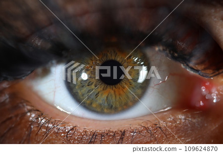 Detail of human eye with gray green iris Detail of human eye with gray green iris 109624870