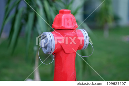 Red fire hydrant standing in park closeup Red fire hydrant standing in park closeup 109625307