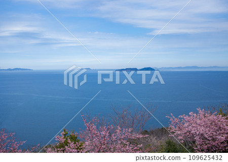 Youra Peninsula and Kawazu Sakura Youra Peninsula and Kawazu Sakura 109625432