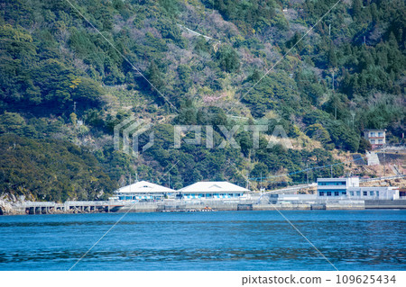 Tsukui海豚島 Tsukui海豚島 109625434