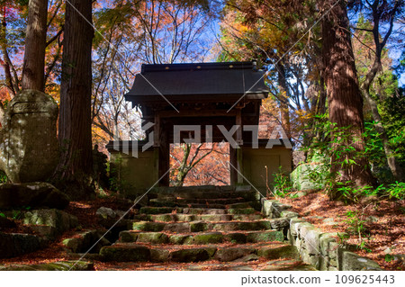 二子寺 Nio 雕像和秋葉 二子寺 Nio 雕像和秋葉 109625443