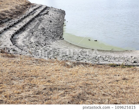 Landscape of winter pond and dry pond bank Landscape of winter pond and dry pond bank 109625815