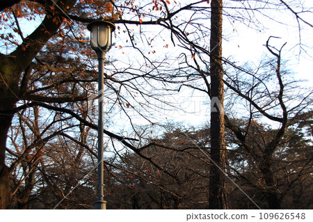 孤獨的路燈風景 109626548