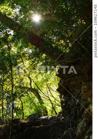 大杉谷（三重縣） 109627148