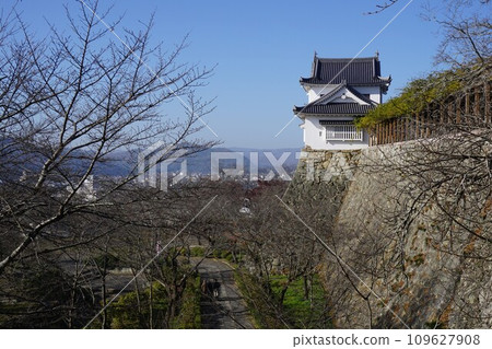 岡山縣津山市櫻花百選之一的鶴山公園(津山城):備中矢倉 岡山縣津山市櫻花百選之一的鶴山公園(津山城):備中矢倉 109627908