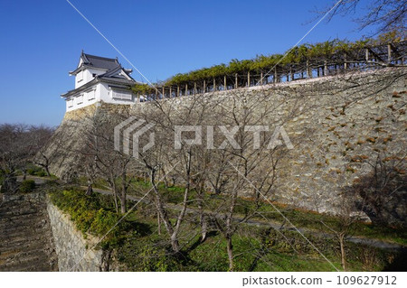 Tsuruyama Park (Tsuruyama Castle), one of the top 100 cherry blossom viewing spots in Tsuyama City, Okayama Prefecture: Bitchu Yagura and wisteria trellis Tsuruyama Park (Tsuruyama Castle), one of the top 100 cherry blossom viewing spots in Tsuyama City, Okayama Prefecture: Bitchu Yagura and wisteria trellis 109627912