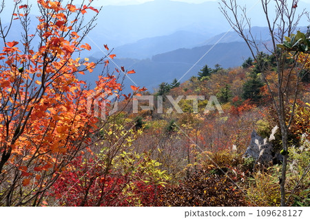 Colorful Tengu Forest (Shikoku Karst Tengu Plateau) 109628127