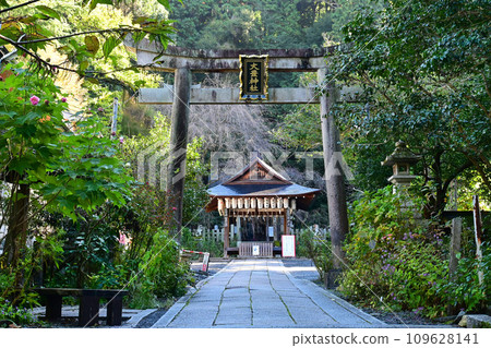 Visit Otoyo Shrine in Shikagaya, Kyoto City in autumn Visit Otoyo Shrine in Shikagaya, Kyoto City in autumn 109628141