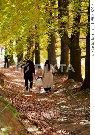 Autumn leaves walking with family 109629249