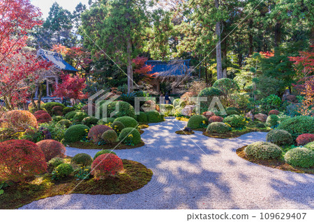 (靜岡縣)龍潭寺、本堂、庭園 (靜岡縣)龍潭寺、本堂、庭園 109629407