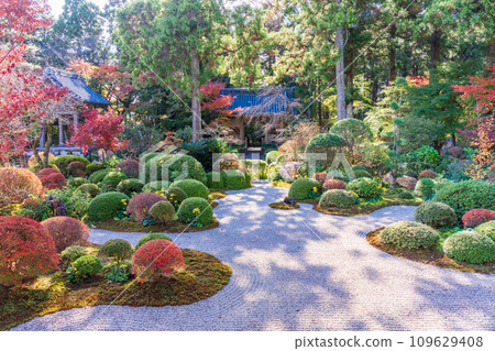 （靜岡縣）龍潭寺、本堂、庭園 109629408