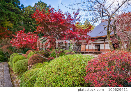 （靜岡縣）龍潭寺、本堂、庭園 109629411
