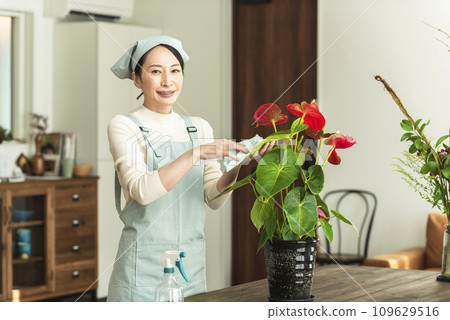 A woman in an apron taking care of houseplants A woman in an apron taking care of houseplants 109629516