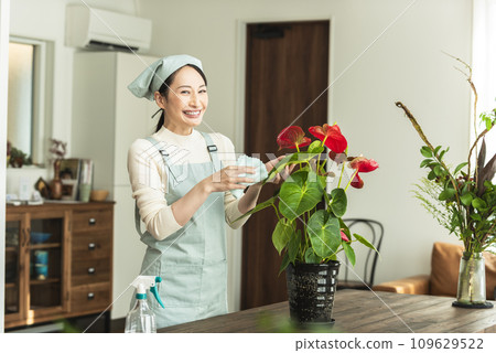 A woman in an apron taking care of houseplants A woman in an apron taking care of houseplants 109629522