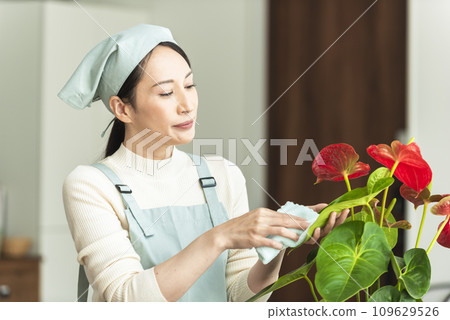 A woman in an apron taking care of houseplants A woman in an apron taking care of houseplants 109629526