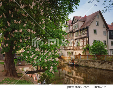spring trip to Europe. Travel and German sightseeing locations. scenic view to facade of old historic houses somewhere in Erfurt city, Traditional half-timbered houses makes cozy and fairy tail mood 109629590