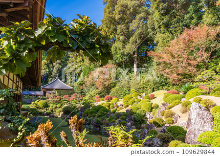 （靜岡縣）龍潭寺庭園 109629844
