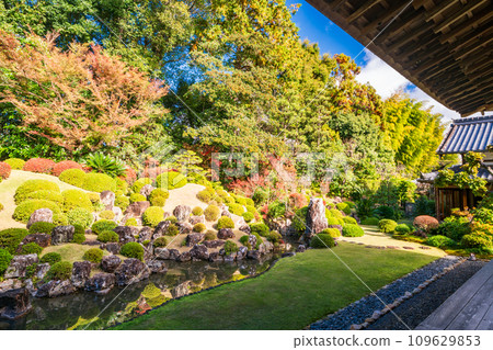 (靜岡縣)龍潭寺庭園 (靜岡縣)龍潭寺庭園 109629853