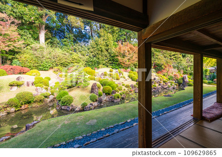 (靜岡縣)龍潭寺庭園 (靜岡縣)龍潭寺庭園 109629865