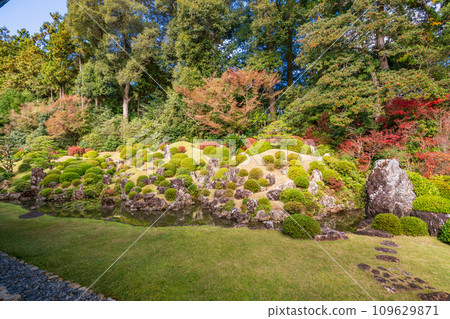 （靜岡縣）龍潭寺庭園 109629871