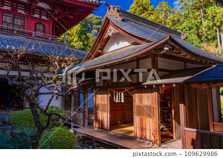 （靜岡縣）龍潭寺/萬莊稻荷 109629986