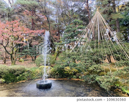 pine umbrella and fountain pine umbrella and fountain 109630360