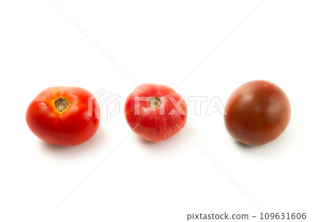 Assort of different color tomatoes isolated on white background with clipping path. . 109631606