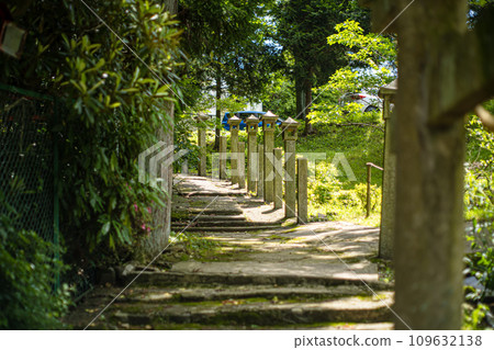 Stone steps of Mt. Ikoma soaking up the sun 109632138