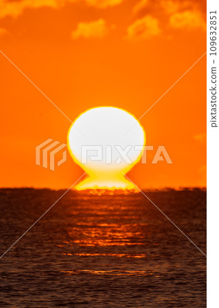 Daruma Asahi 109632851