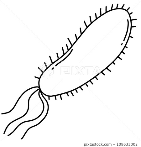 black line art of bacteria E.coli on a transparent background, coloring book art supply for kids 109633002