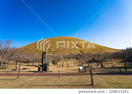 從靜岡縣伊東市櫻花之裡眺望深秋的大室山 109633261