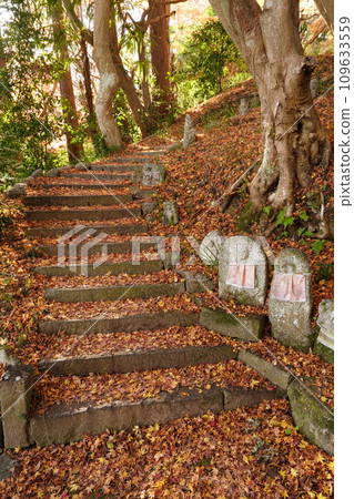 Katsuragi Kodo and wild Buddha strewn with fallen leaves Katsuragi Kodo and wild Buddha strewn with fallen leaves 109633559
